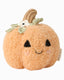 Baby pumpkin (moonflower)
