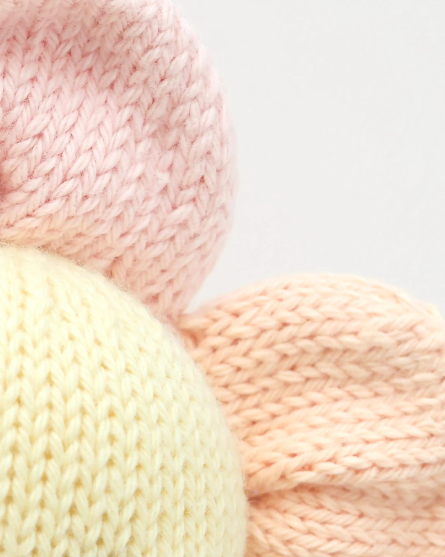 Baby daisy (sunshower)