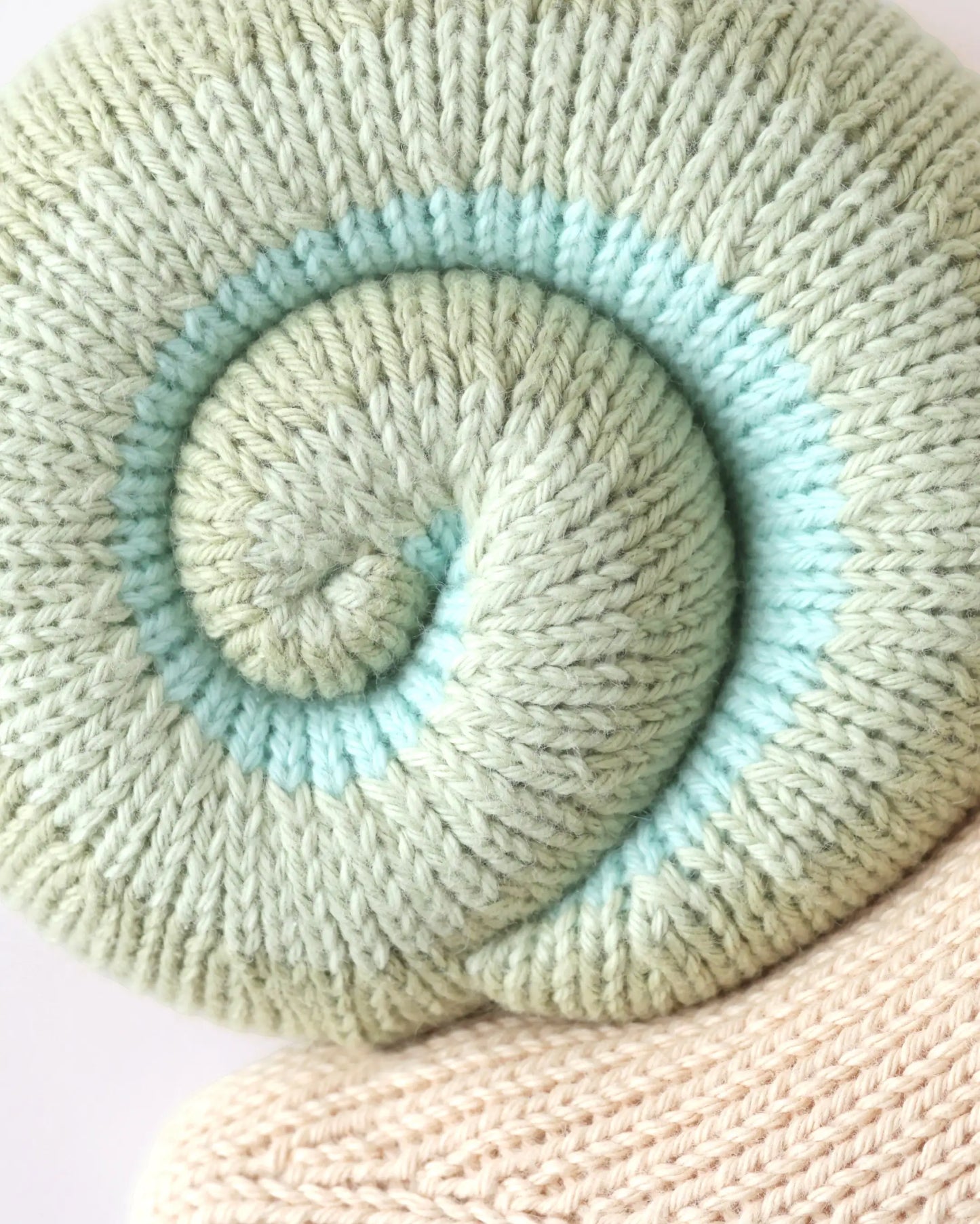 Baby snail (morning dew)