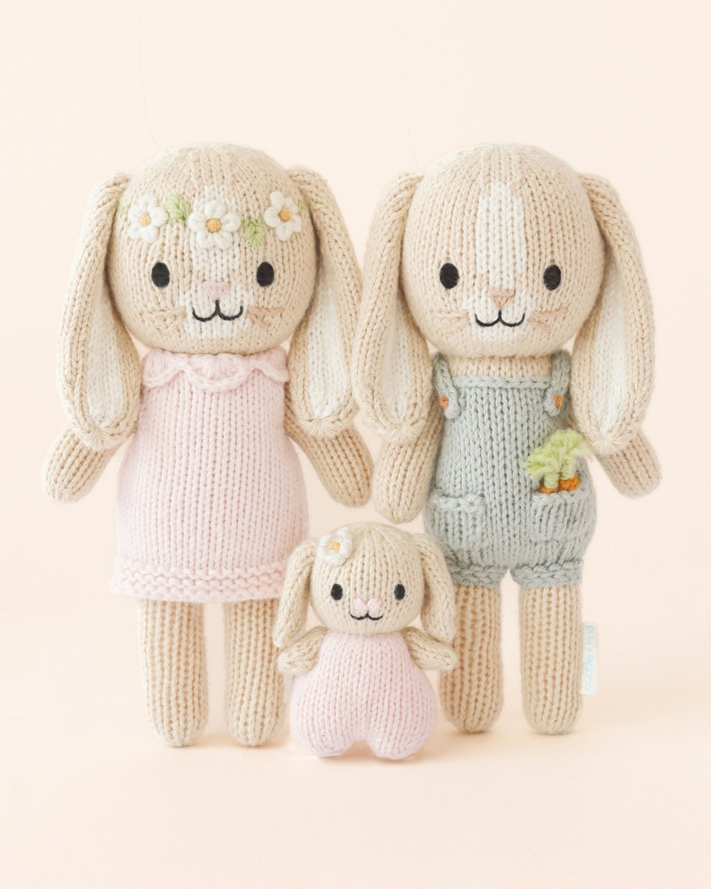 Tiny bunny family