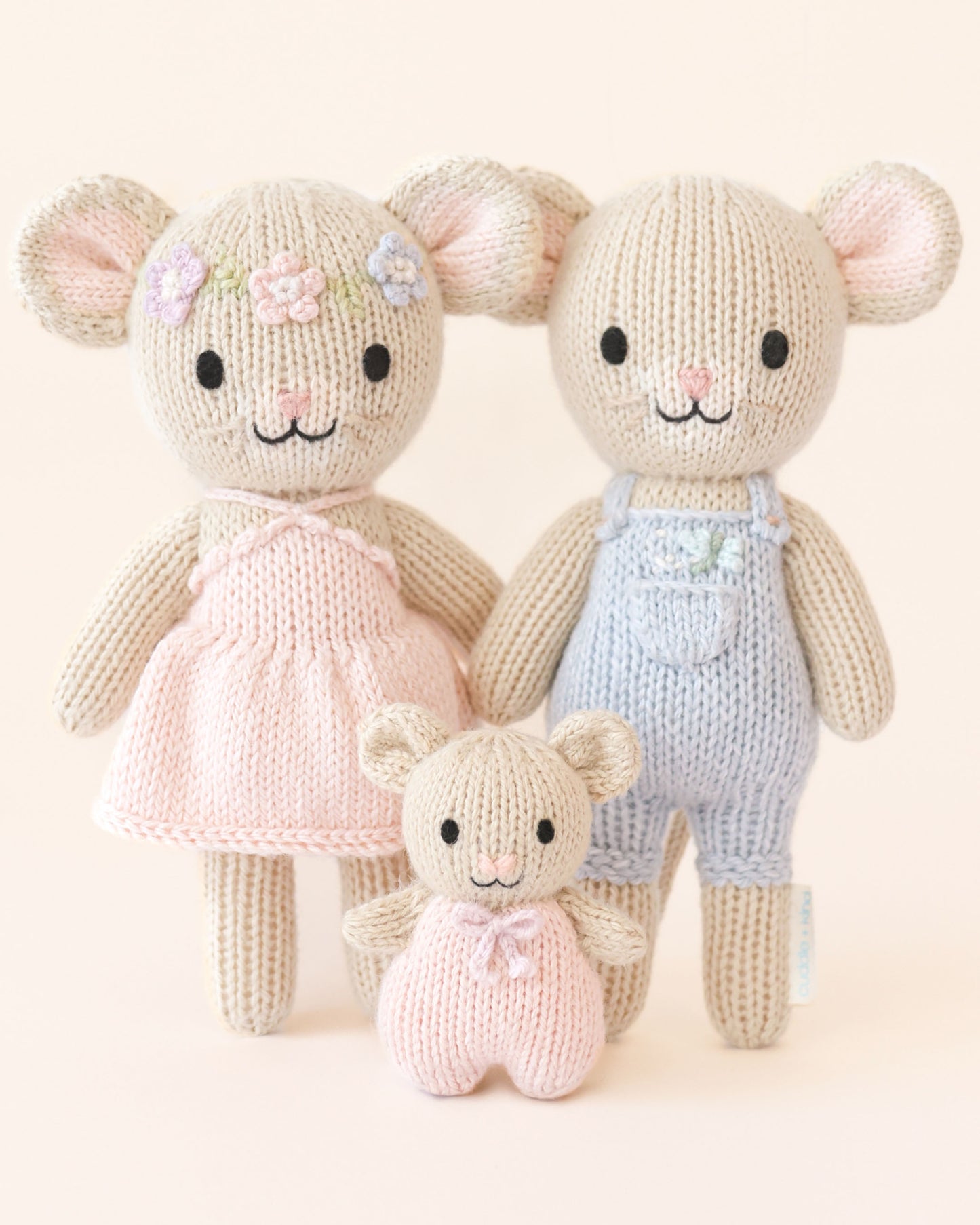Tiny mouse family