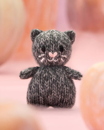 Tiny baby kitten