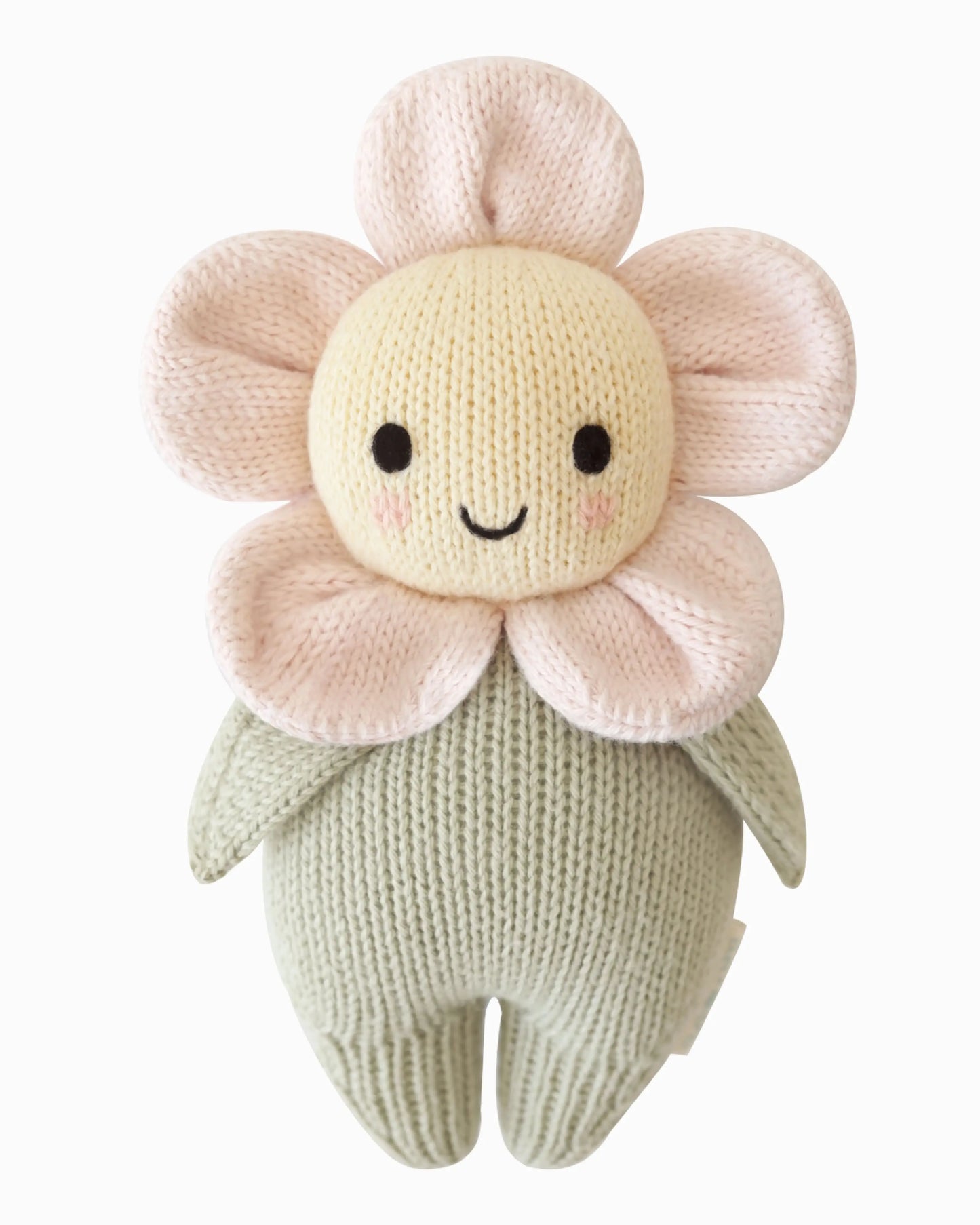 Baby daisy bundle (blush)