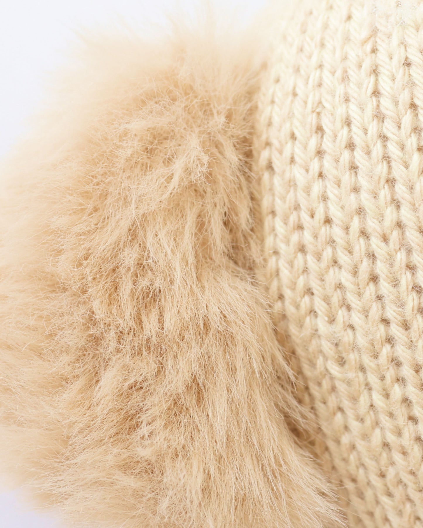 Theo the golden puppy