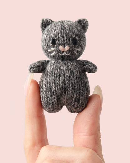 Tiny baby kitten