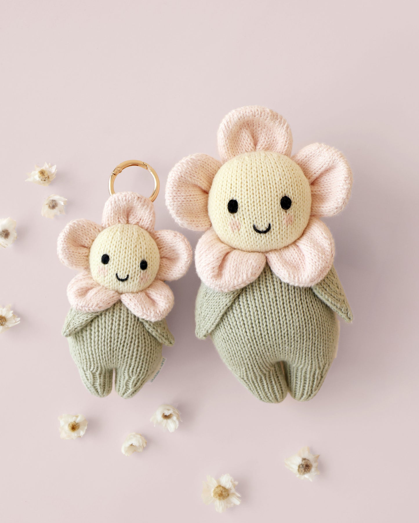 Baby daisy bundle (blush)
