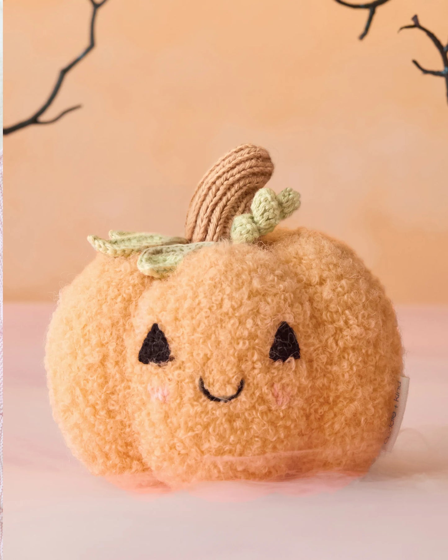 Baby pumpkin