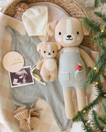 Theo the golden puppy