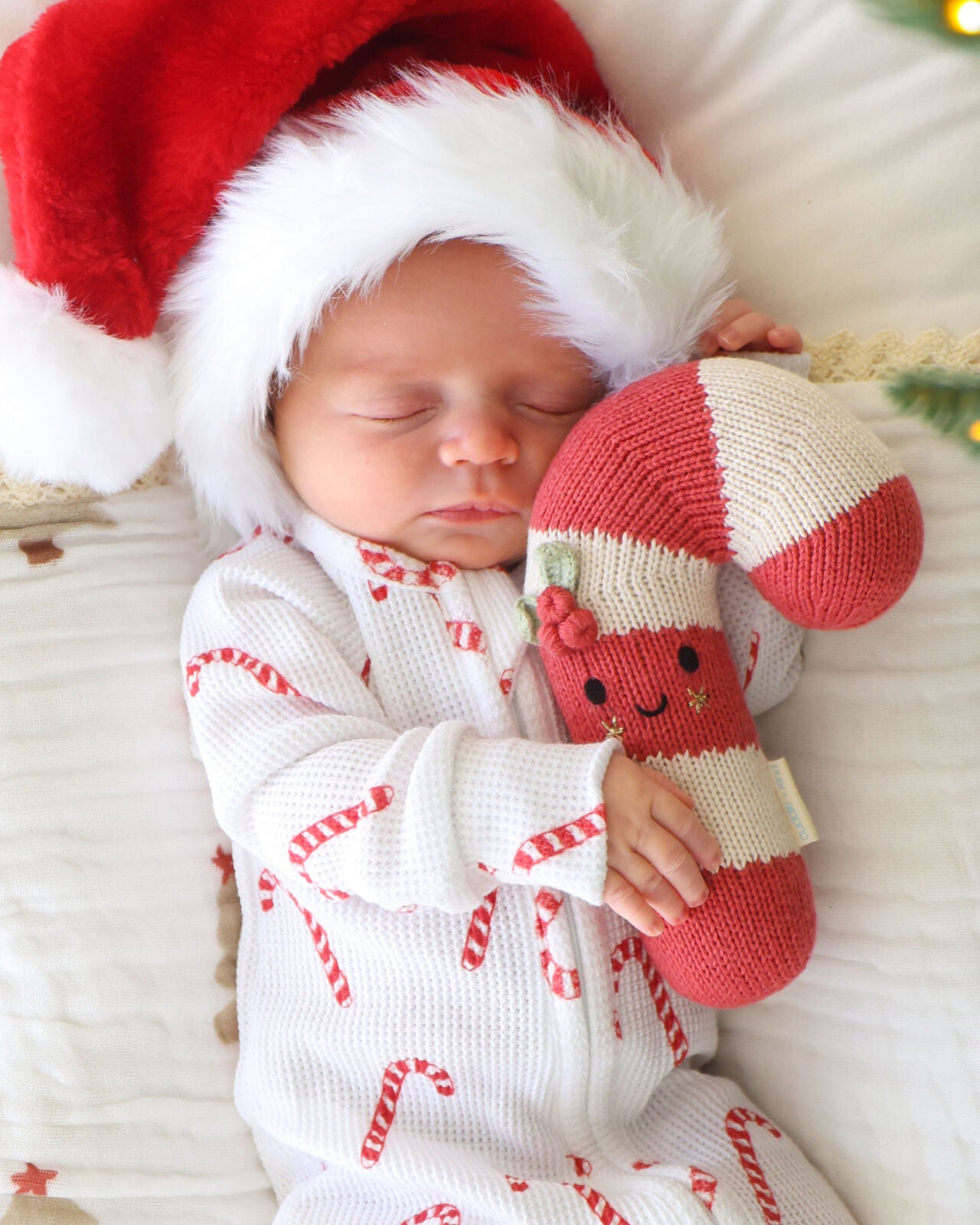 Baby candy cane (peppermint stripe)