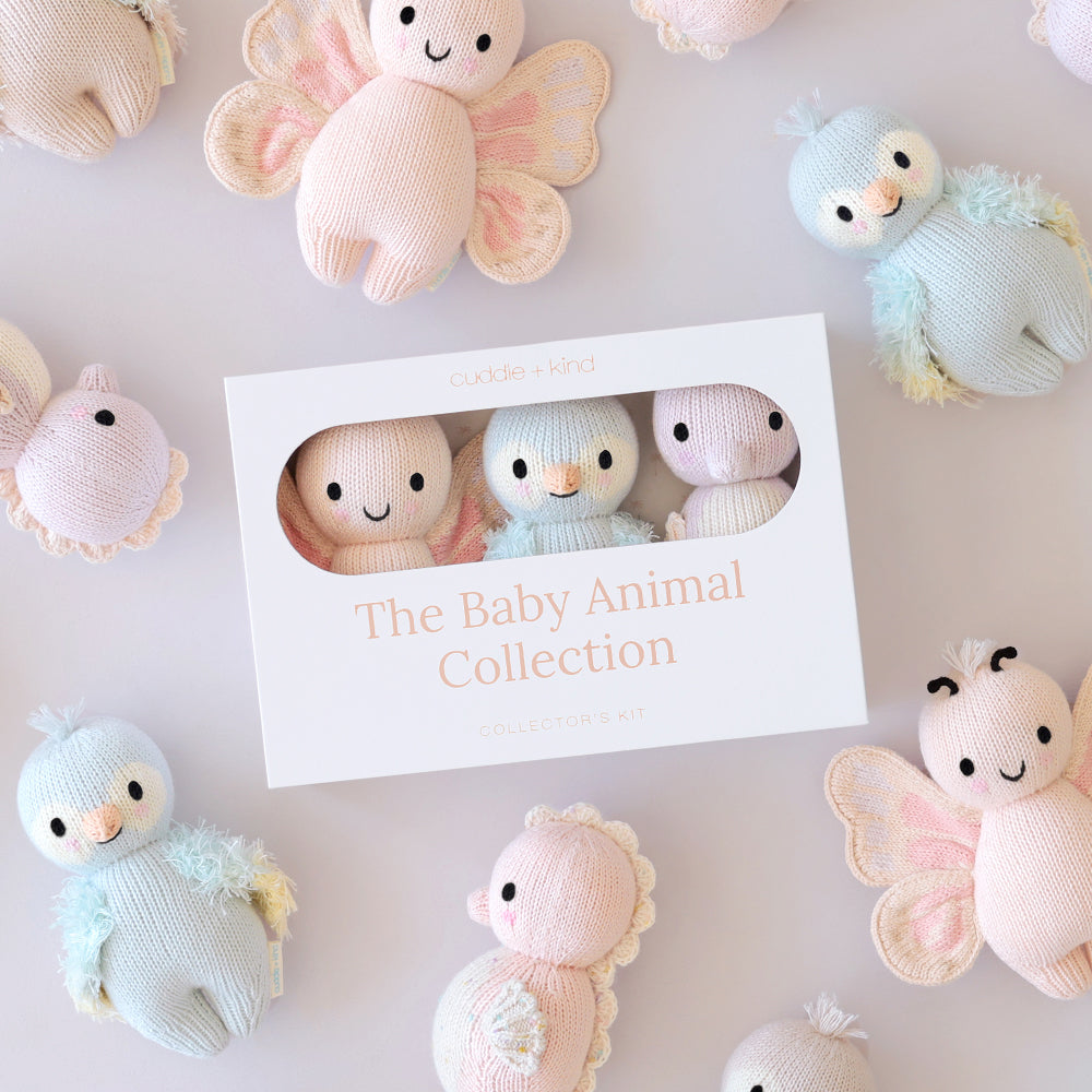 Summer Collector's Kit