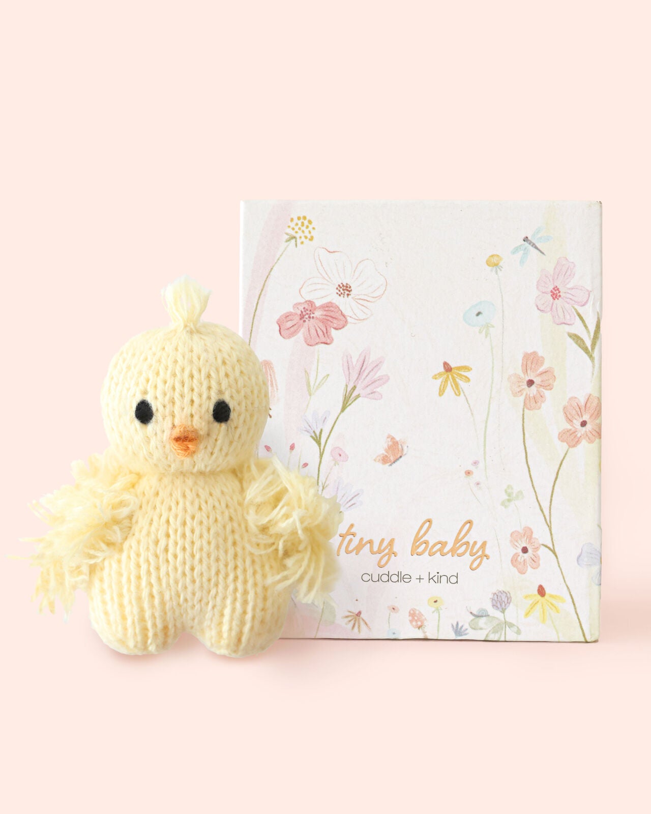 Tiny baby chick family