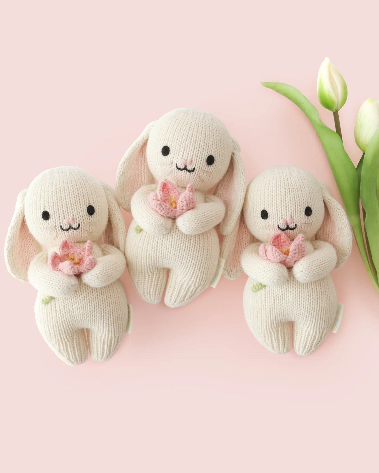 Baby bunny (blooming tulip)