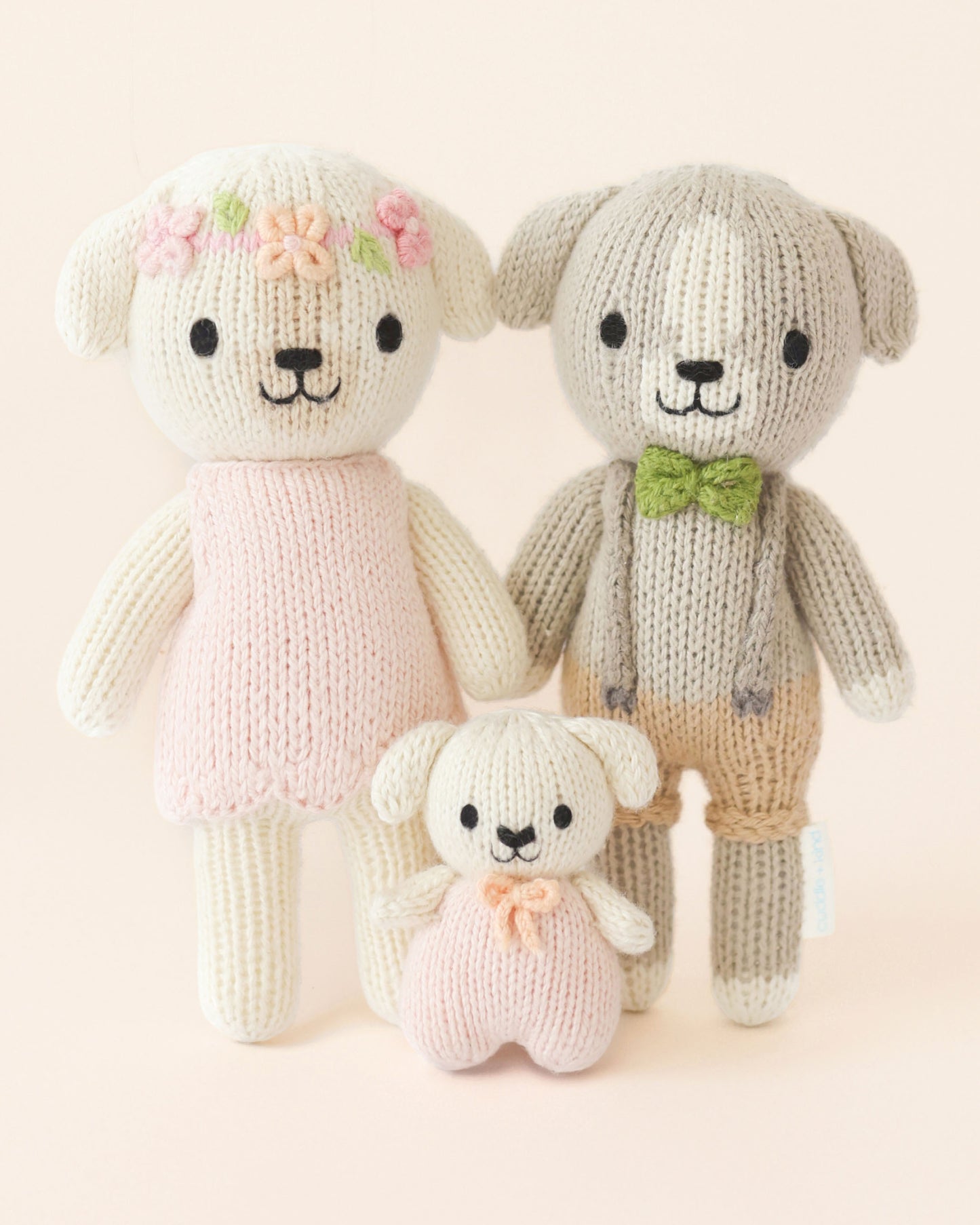 Tiny Charlotte the dog