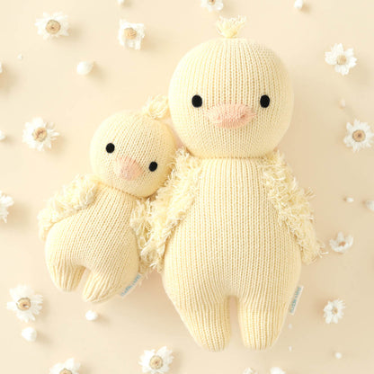 Baby duckling bundle