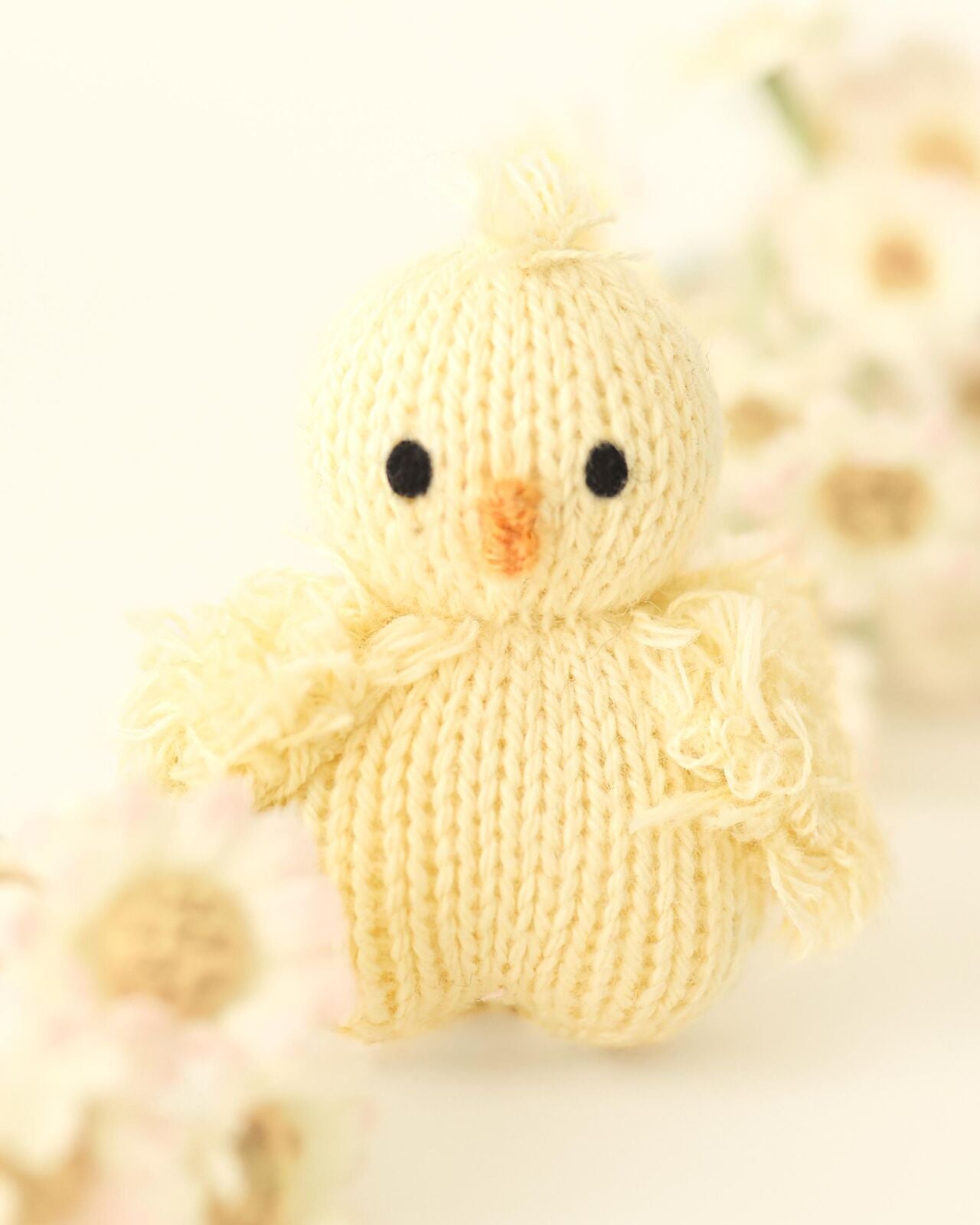 Tiny baby chick
