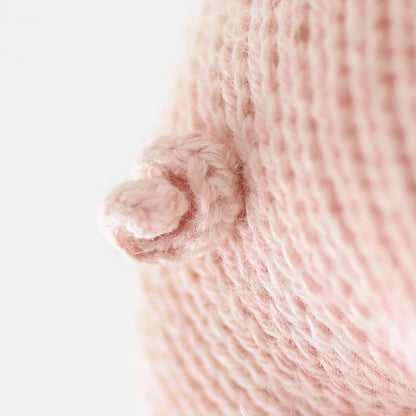 A close up showing baby piglet’s spiraled, yarn tail.