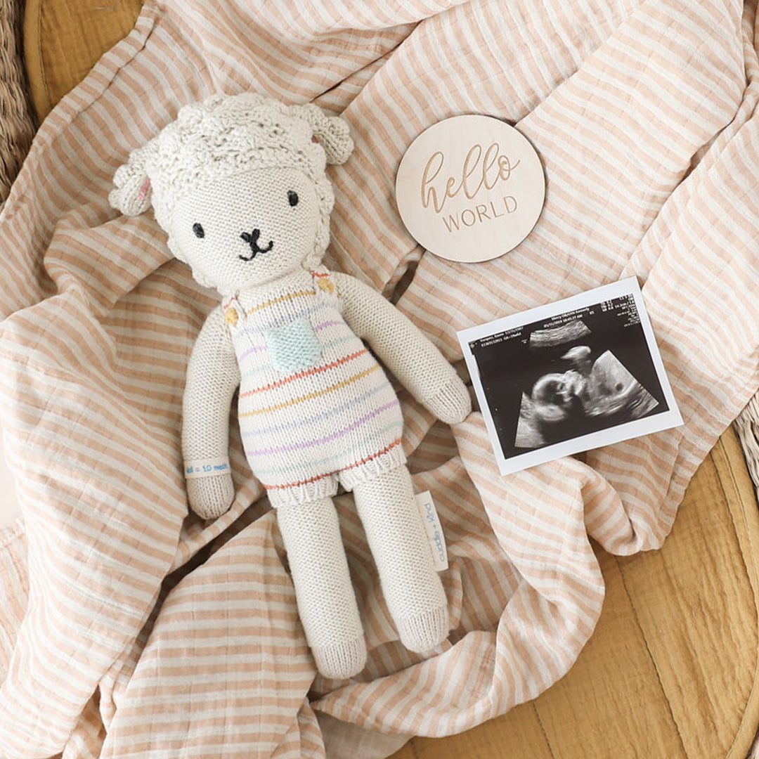 Avery the lamb lying on a striped receiving blanket alongside an ultrasound image and a round wooden sign that says “hello world”.