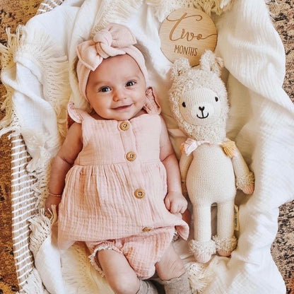 A smiling baby laying in a bassinet beside Lola the llama. Also in the bassinet is a little wooden sign with text that says “Two months”.